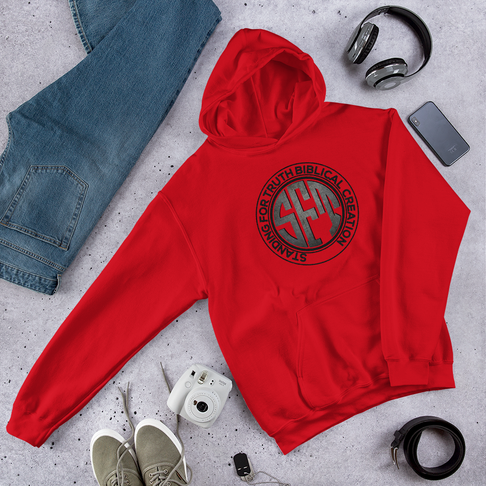 Standing for Truth Unisex Hoodie